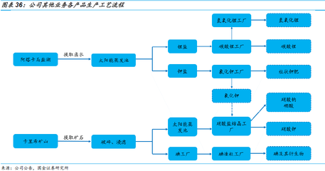【国金研究】SQM深度 深秋已至，独善其身？工业植物检测现状与突围思考