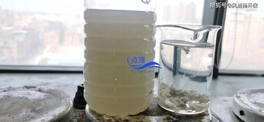 木糖醇生产废水脱色剂的工业植物提取与稀释倍数优化研究