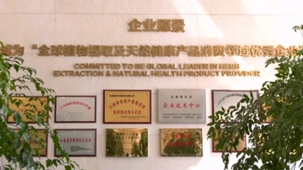 “开好局 起好步”|云南博瑞生物 致力研发创新，企业插上“金翅膀” —— 工业植物提取奏响腾飞新乐章